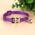 Personalized Adjustable Pet Collar