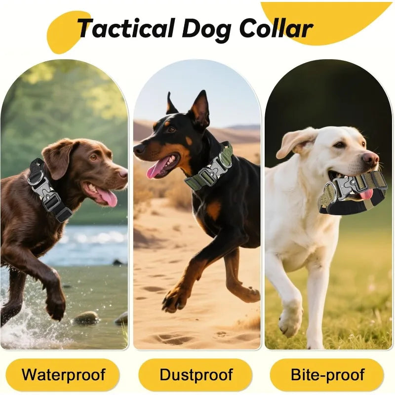 Heavy-Duty Adjustable Dog Collar
