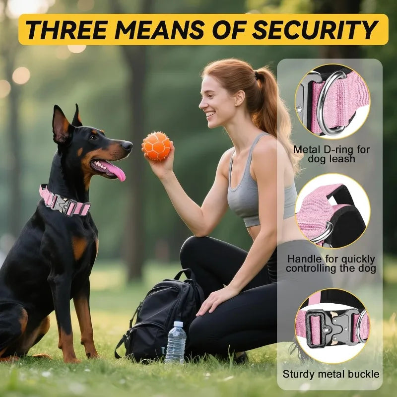 Heavy-Duty Adjustable Dog Collar