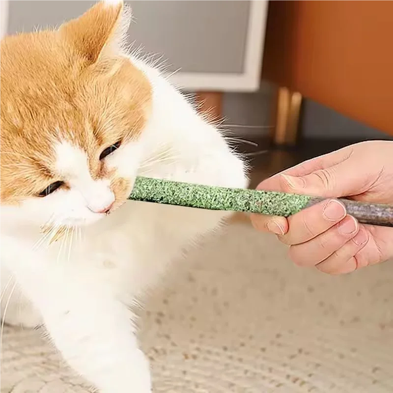 Natural Silvervine Cat Chew Sticks