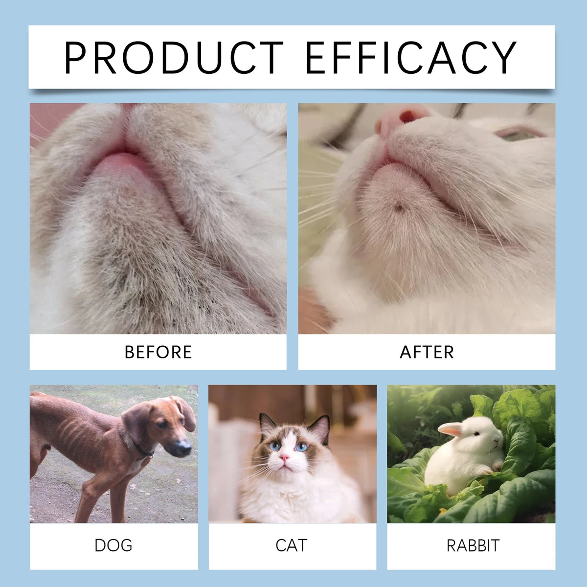 Pet Dental & Chin Care Kit