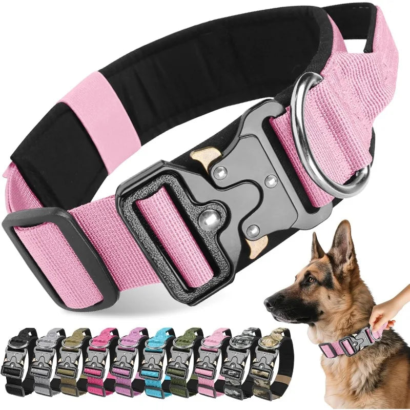 Heavy-Duty Adjustable Dog Collar
