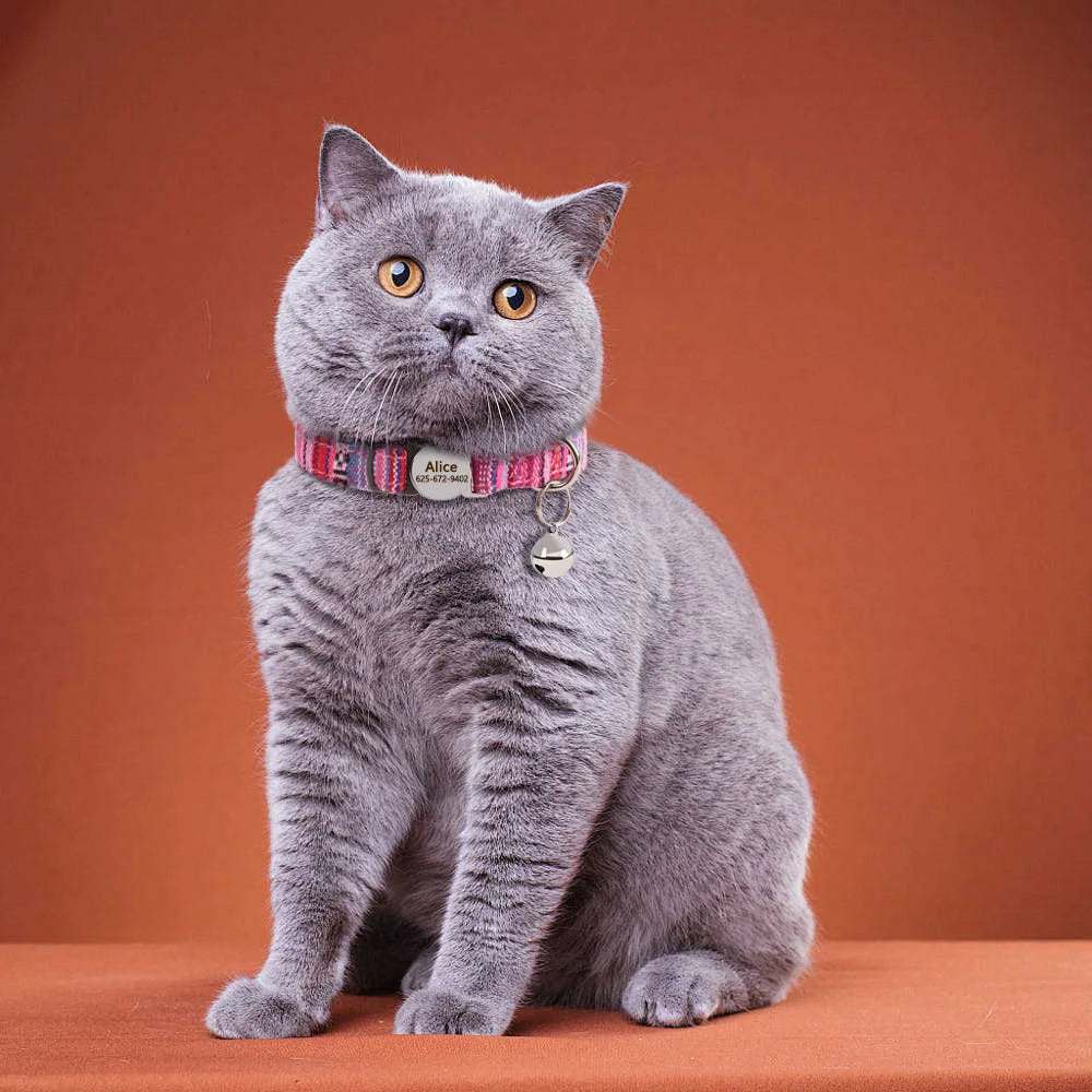 Personalized Adjustable Pet Collar
