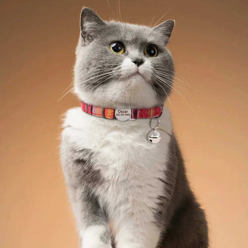 Personalized Adjustable Pet Collar