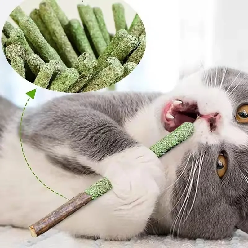 Natural Silvervine Cat Chew Sticks